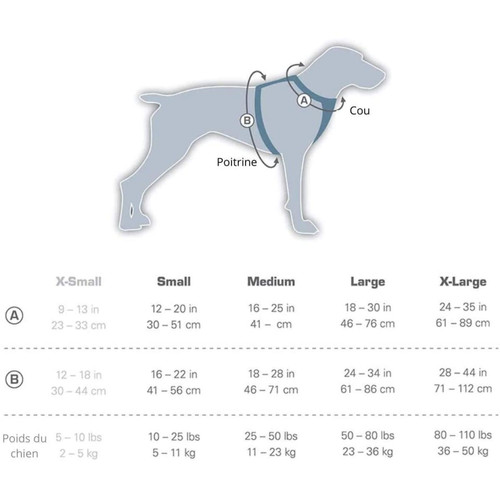 Equipement de transport pour chien marque generique