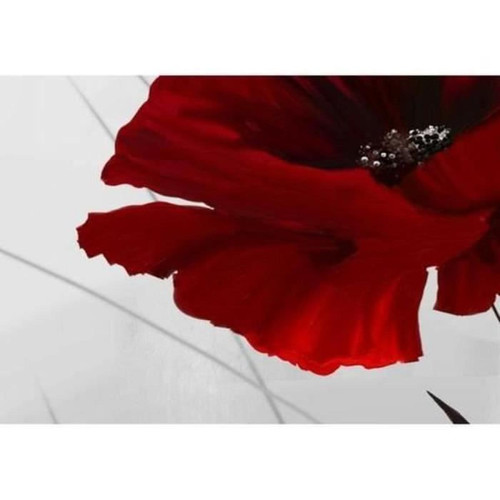 marque generique @PRINTING MALL-Unframed 5 pcs Rouge Miracle Nature Fleurs Plantes Coquelicots Tableaux Photo Sur Toile Impression Sur Toile