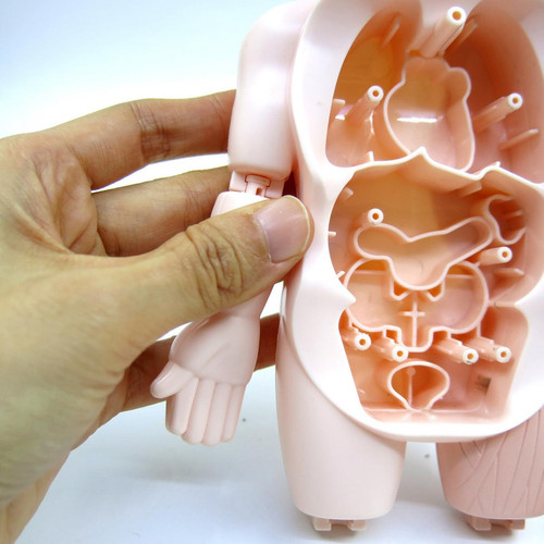 marque generique Réaliste 3D Corps Humain avec Organes Anatomie Éducatifs BRICOLAGE Jouets Organe Du Corps pour La Science Démonstration En Salle de Classe