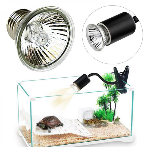 Alimentation reptile Support De Lampe Chauffante Pour Reptiles Avec Lampe à Clip Pet Lights Ampoules 25W
