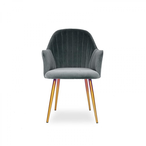 Meubler Design - Chaise de salle à manger velours pied or Skull - Gris - Chaises Design