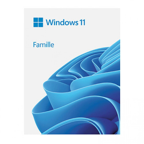 Microsoft - Windows 11 Famille - Licence perpétuelle - 1 PC - A télécharger Microsoft  - Systèmes d'exploitation