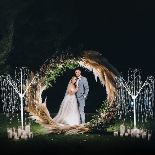 Monstershop - Décoration de Mariage - Combo Arche Circulaire Argentée  & 2 Saules Pleureur Lumineux 180 cm Blanc Chaud Monstershop  - Deco mariage