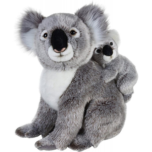 National Geographic - peluche koala junior de 37 cm gris blanc - Peluches
