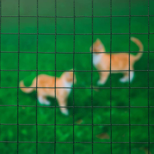 Panneaux et treillis Nature Nature Treillis carré 0,5x5 m 25 mm Acier enduit de plastique Vert