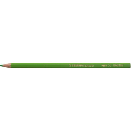 Newtons - Stabilo Aquacolor Lot de 12 Crayons Aquarellable Vert Printemps Newtons - Accessoires et consommables