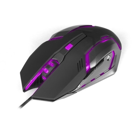 Souris Ngs