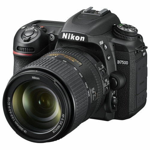 Reflex Grand Public Nikon VBA510K004
