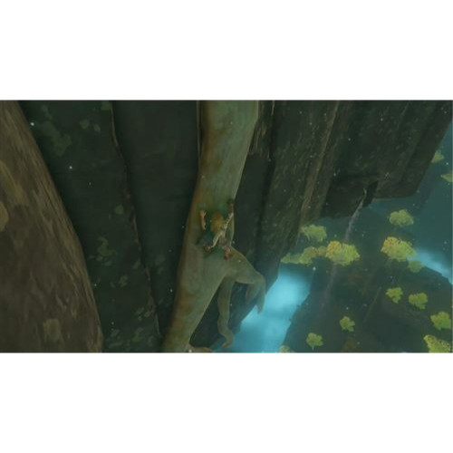 Jeux retrogaming The Legend of Zelda : Tears of the Kingdom SWITCH