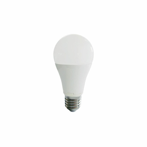 Nityam - Ampoule LED Globe E27 - 15W Nityam  - Ampoules