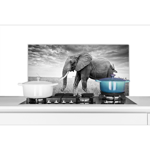 MuchoWow - Credence Eléphant dans la plaine en noir et blanc Fond de hotte 80x40 cm Credence aluminium Plaque inox de cuisine - MuchoWow