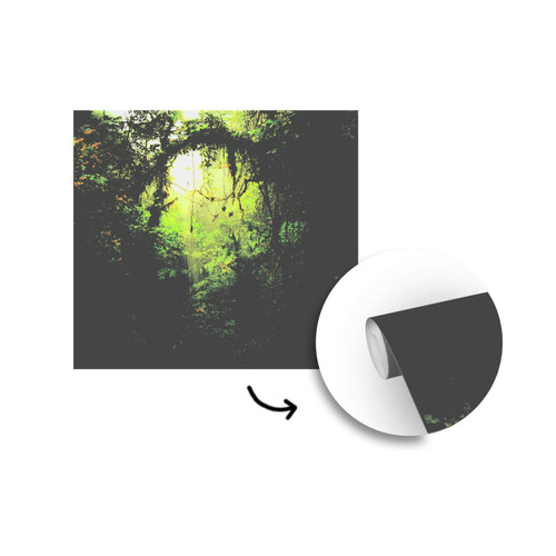 MuchoWow - Papier peint Image teintée de vert de la forêt tropicale du Costa Rica Papier peint photo 240x240 cm Papier peint imprimé - Papier peint