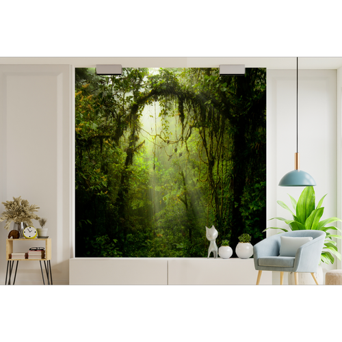 MuchoWow Papier peint Image teintée de vert de la forêt tropicale du Costa Rica Papier peint photo 240x240 cm Papier peint imprimé