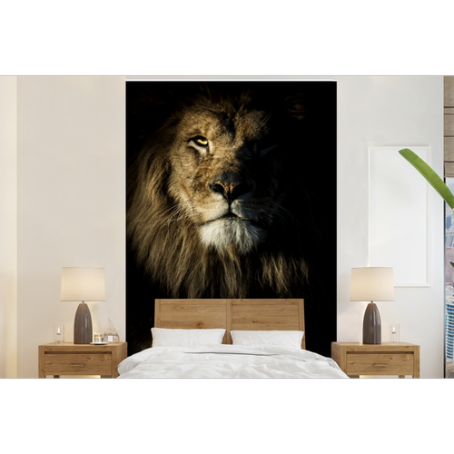 MuchoWow Papier peint Lion - Lumière - Noir Papier peint photo 195x300 cm Papier peint imprimé