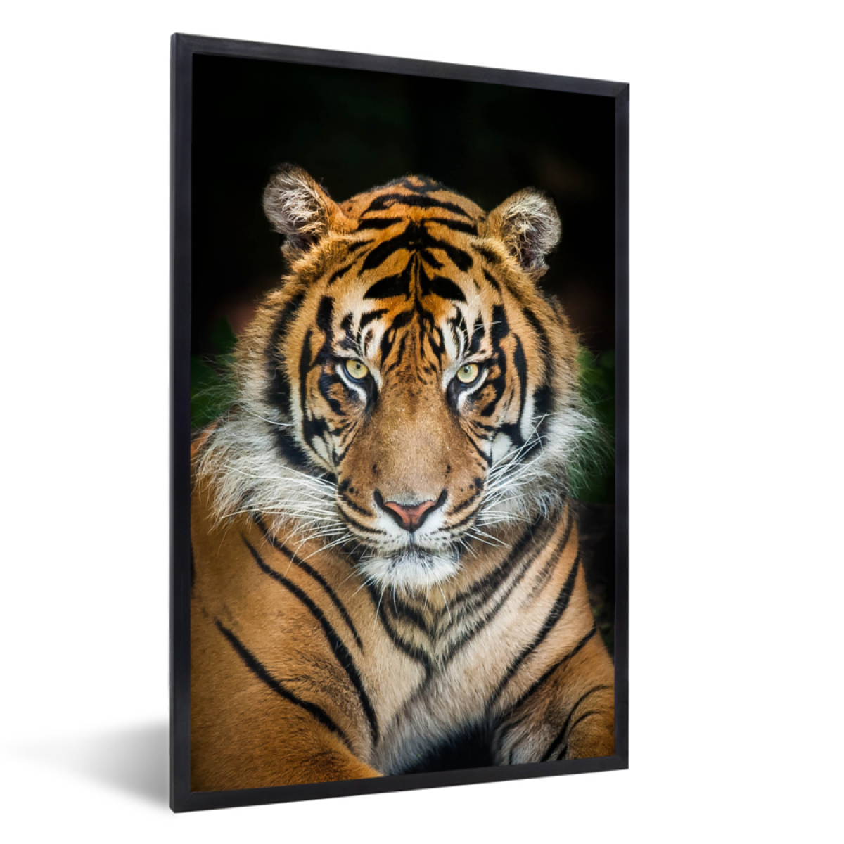 MuchoWow - Poster encadré Tigre - Noir Tableau deco avec cadre 40x60 cm  affiche decoration murale - Affiches, posters - Rue du Commerce