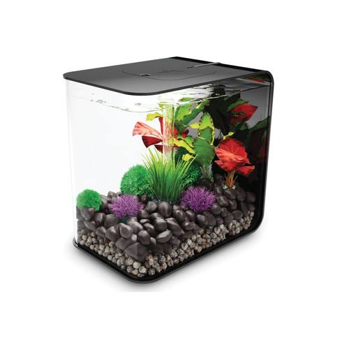 Aquarium Aquarium décoratif 30l led avec cadre noir - Flow 30 LED black - OASE
