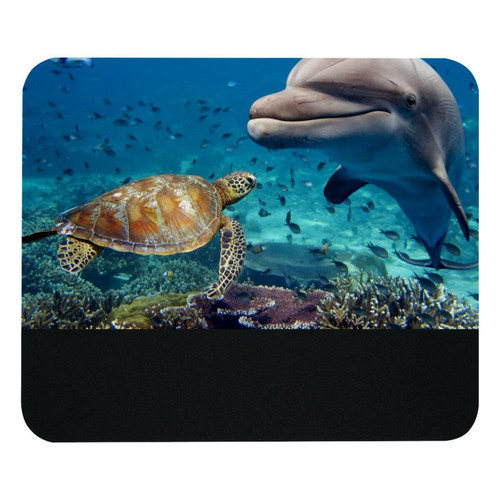 ownta - OWNTA Sea Turtle Dolphin  Modèle Tapis de bureau avec tapis de souris, fond en caoutchouc antidérapant imprimé, adapté au bureau et aux jeux ownta  - Périphériques, réseaux et wifi