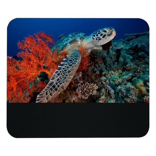 ownta - OWNTA Underwater Sea Turtle Coral Modèle Tapis de bureau avec tapis de souris, fond en caoutchouc antidérapant imprimé, adapté au bureau et aux jeux ownta  - Périphériques, réseaux et wifi