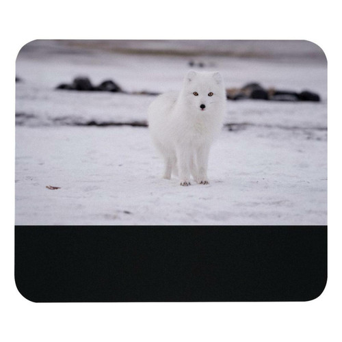 ownta - OWNTA Arctic Fox Modèle Tapis de bureau avec tapis de souris, fond en caoutchouc antidérapant imprimé, adapté au bureau et aux jeux ownta  - Le meilleur de nos Marchands