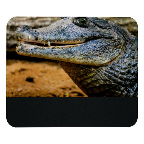 ownta - OWNTA Crocodile Alligator Wild Aniaml Modèle Tapis de bureau avec tapis de souris, fond en caoutchouc antidérapant imprimé, adapté au bureau et aux jeux ownta  - Nos Promotions et Ventes Flash