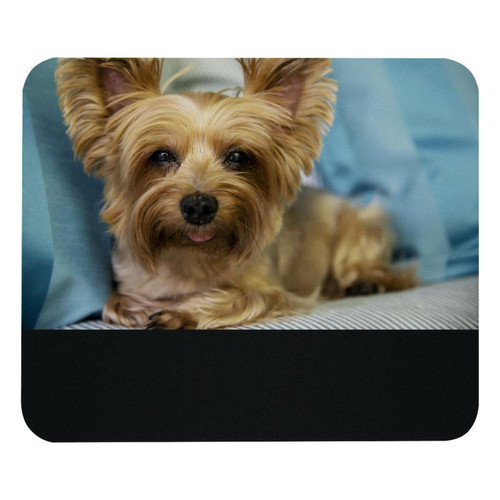 ownta - OWNTA Cute Small Dog Modèle Tapis de bureau avec tapis de souris, fond en caoutchouc antidérapant imprimé, adapté au bureau et aux jeux ownta  - Nos Promotions et Ventes Flash