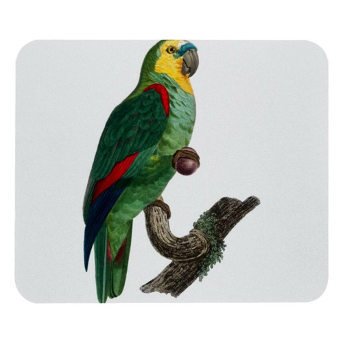 ownta - OWNTA Turquoise Fronted Parrot Modèle Tapis de bureau avec tapis de souris, fond en caoutchouc antidérapant imprimé, adapté au bureau et aux jeux ownta - Le meilleur de nos Marchands