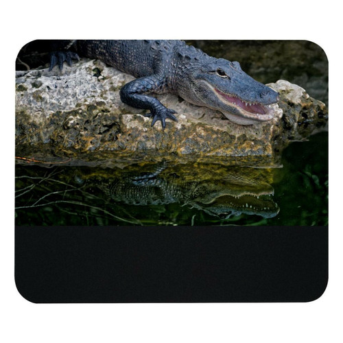 ownta - OWNTA Wildlife Crocodile Alligator Modèle Tapis de bureau avec tapis de souris, fond en caoutchouc antidérapant imprimé, adapté au bureau et aux jeux ownta  - Nos Promotions et Ventes Flash