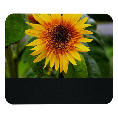 ownta - OWNTA Sunflower Floral Yellow Plant Modèle Tapis de bureau avec tapis de souris, fond en caoutchouc antidérapant imprimé, adapté au bureau et aux jeux ownta  - Nos Promotions et Ventes Flash