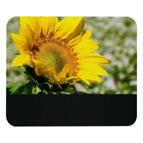 ownta - OWNTA Summer Sunflower Plant Flower Modèle Tapis de bureau avec tapis de souris, fond en caoutchouc antidérapant imprimé, adapté au bureau et aux jeux ownta  - Tapis de souris