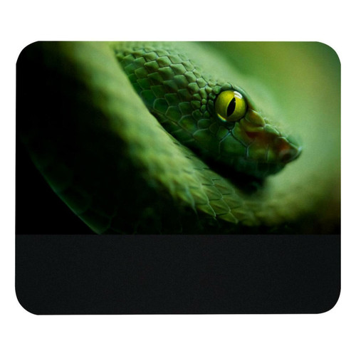 ownta - OWNTA Green Snake Modèle Tapis de bureau avec tapis de souris, fond en caoutchouc antidérapant imprimé, adapté au bureau et aux jeux ownta  - Nos Promotions et Ventes Flash