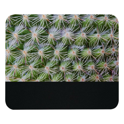 ownta - OWNTA Closeup of Cactus Plant Wallpaper Modèle Tapis de bureau avec tapis de souris, fond en caoutchouc antidérapant imprimé, adapté au bureau et aux jeux ownta  - Tapis de souris