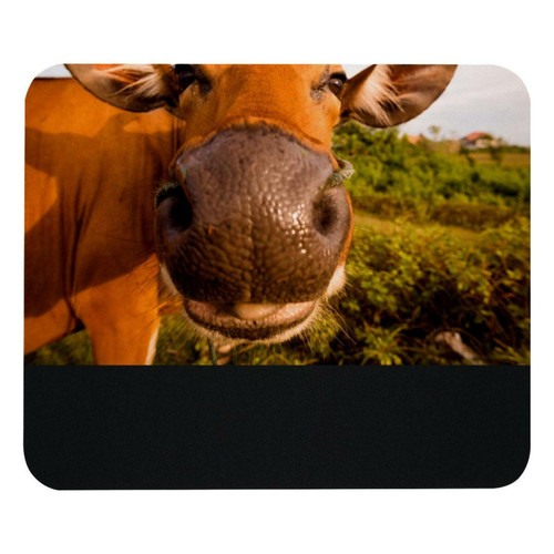 ownta - OWNTA Cute Funny Cow Animal Modèle Tapis de bureau avec tapis de souris, fond en caoutchouc antidérapant imprimé, adapté au bureau et aux jeux ownta  - Bambo