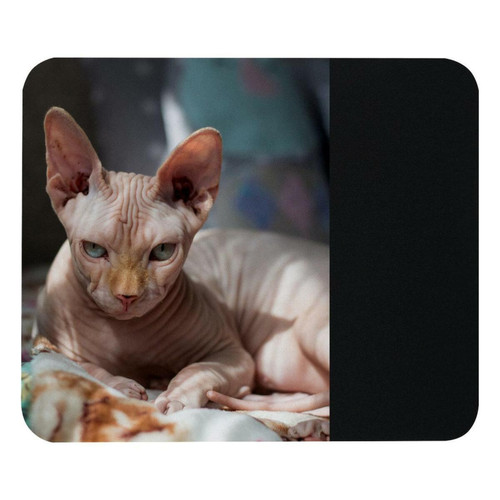 ownta - OWNTA Sphynx Cat Hairless Modèle Tapis de bureau avec tapis de souris, fond en caoutchouc antidérapant imprimé, adapté au bureau et aux jeux ownta  - Le meilleur de nos Marchands
