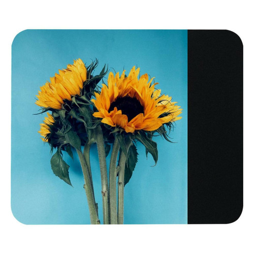 ownta - OWNTA Sunflower Blue Modèle Tapis de bureau avec tapis de souris, fond en caoutchouc antidérapant imprimé, adapté au bureau et aux jeux ownta  - Le meilleur de nos Marchands