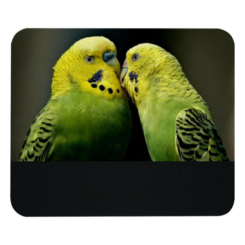 ownta - OWNTA Parrots Couple Kiss Budgerigar Modèle Tapis de bureau avec tapis de souris, fond en caoutchouc antidérapant imprimé, adapté au bureau et aux jeux ownta  - Le meilleur de nos Marchands