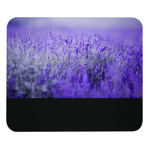 ownta - OWNTA Purple Lavender Flower Modèle Tapis de bureau avec tapis de souris, fond en caoutchouc antidérapant imprimé, adapté au bureau et aux jeux ownta  - Le meilleur de nos Marchands