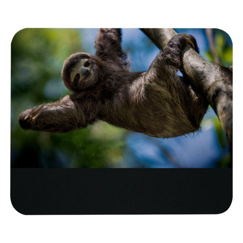 ownta - OWNTA Sloth Animal Modèle Tapis de bureau avec tapis de souris, fond en caoutchouc antidérapant imprimé, adapté au bureau et aux jeux ownta  - Nos Promotions et Ventes Flash