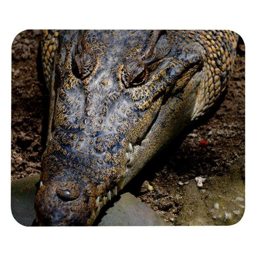 ownta - OWNTA Crocodile Portrait Modèle Tapis de bureau avec tapis de souris, fond en caoutchouc antidérapant imprimé, adapté au bureau et aux jeux ownta  - Nos Promotions et Ventes Flash