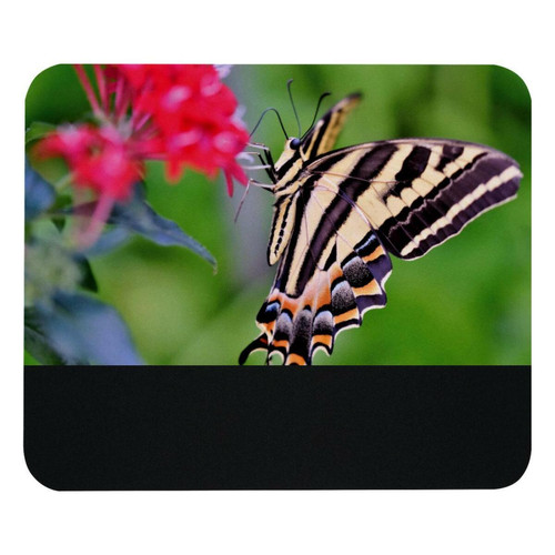 ownta - OWNTA Butterfly on Flower Modèle Tapis de bureau avec tapis de souris, fond en caoutchouc antidérapant imprimé, adapté au bureau et aux jeux ownta  - Nos Promotions et Ventes Flash