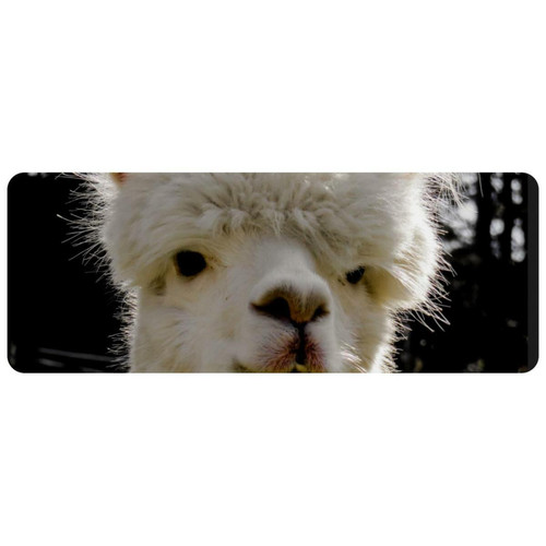 ownta - OWNTA Alpaca Pattern  Grand tapis de bureau à motif : tapis de jeu rectangulaire étendu de 11,8 x 31,3 pouces avec fond en caoutchouc antidérapant - adapté au bureau à domicile - grand tapis de souris ownta  - Le meilleur de nos Marchands