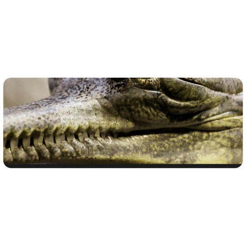 ownta - OWNTA Wild Aniaml Crocodile Alligator Grand tapis de bureau à motif : tapis de jeu rectangulaire étendu de 11,8 x 31,3 pouces avec fond en caoutchouc antidérapant - adapté au bureau à domicile - grand tapis de souris ownta  - Nos Promotions et Ventes Flash