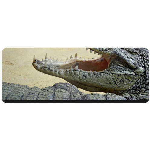 ownta - OWNTA Aniaml Crocodile Alligator Open Mouth Grand tapis de bureau à motif : tapis de jeu rectangulaire étendu de 11,8 x 31,3 pouces avec fond en caoutchouc antidérapant - adapté au bureau à domicile - grand tapis de souris ownta  - Nos Promotions et Ventes Flash