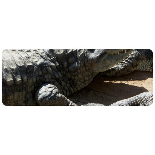 ownta - OWNTA Aniaml Crocodile Alligator Grand tapis de bureau à motif : tapis de jeu rectangulaire étendu de 11,8 x 31,3 pouces avec fond en caoutchouc antidérapant - adapté au bureau à domicile - grand tapis de souris ownta  - Tapis de souris