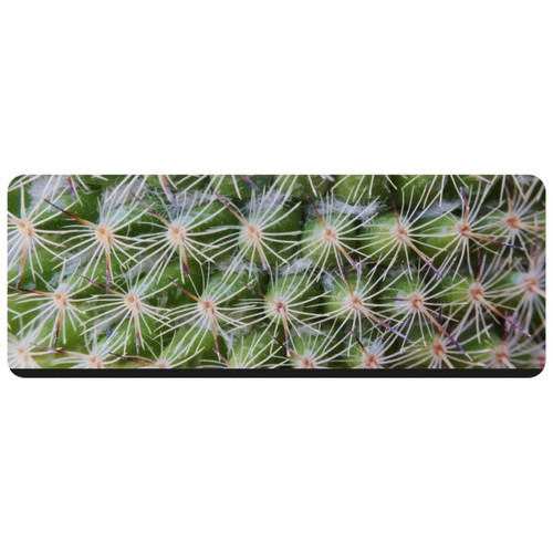ownta - OWNTA Closeup of Cactus Plant Wallpaper Grand tapis de bureau à motif : tapis de jeu rectangulaire étendu de 11,8 x 31,3 pouces avec fond en caoutchouc antidérapant - adapté au bureau à domicile - grand tapis de souris ownta  - Nos Promotions et Ventes Flash