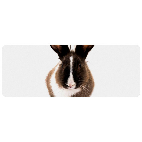 ownta - OWNTA Silly Bunny Grand tapis de bureau à motif : tapis de jeu rectangulaire étendu de 11,8 x 31,3 pouces avec fond en caoutchouc antidérapant - adapté au bureau à domicile - grand tapis de souris ownta  - Périphériques, réseaux et wifi