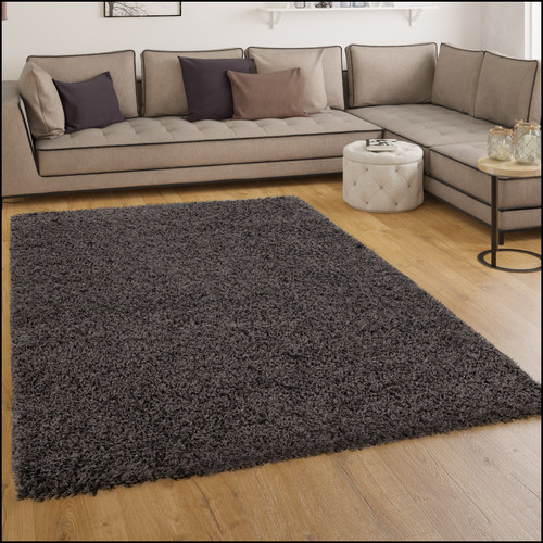 Paco-Home -Tapis Shaggy Longues Mèches En Anthracite Paco-Home  - Tapis Gris clair