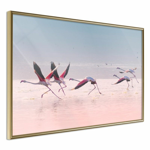Paris Prix - Affiche Murale Encadrée Flamingos Breaking into a Flight 45 x 30 cm Or Paris Prix  - Bonnes affaires Décoration