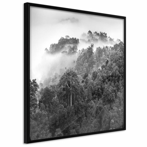 Paris Prix - Affiche Murale Encadrée Foggy Forest 30 x 30 cm Noir Paris Prix  - Décoration