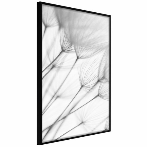 Paris Prix - Affiche Murale Encadrée Gentle Blow 20 x 30 cm Noir Paris Prix  - Décoration Noir et blanc