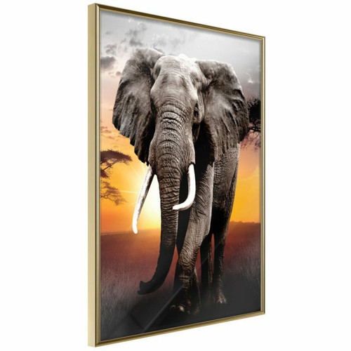 Paris Prix - Affiche Murale Encadrée Majestic Elephant 30 x 45 cm Or Paris Prix  - Décoration